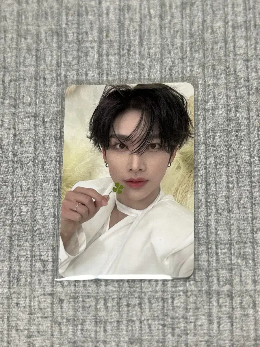제로베이스원 블루 파라다이스 스타리버 리키 네잎클로버 양도