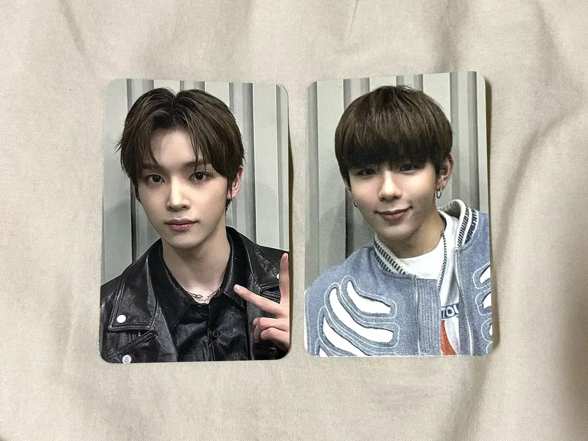라이즈 성찬 쇼타로 엔시티 에버랜드 포토카드