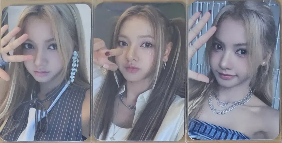 세이마이네임 세마넴 프롬스토어 포카3종 카니