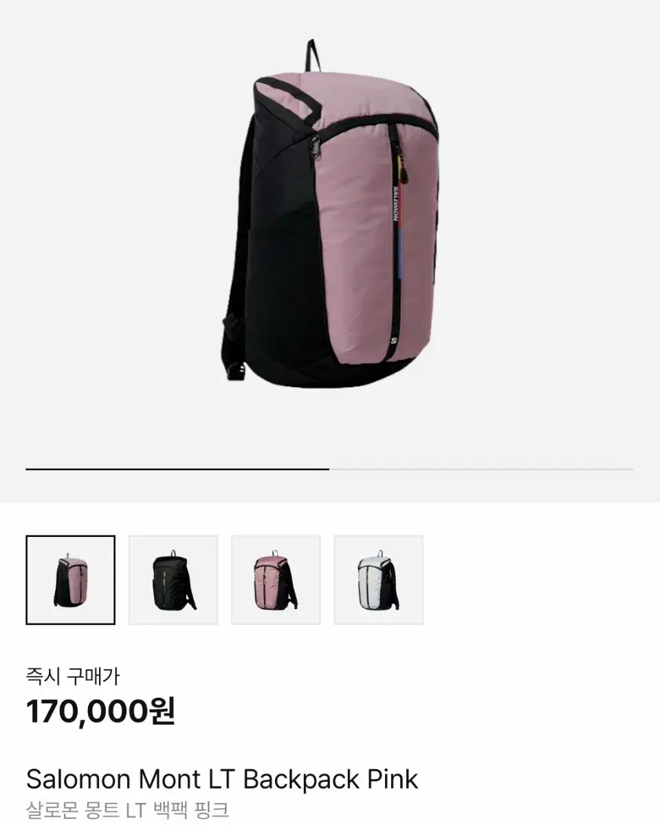 살로몬 백팩 mont lt