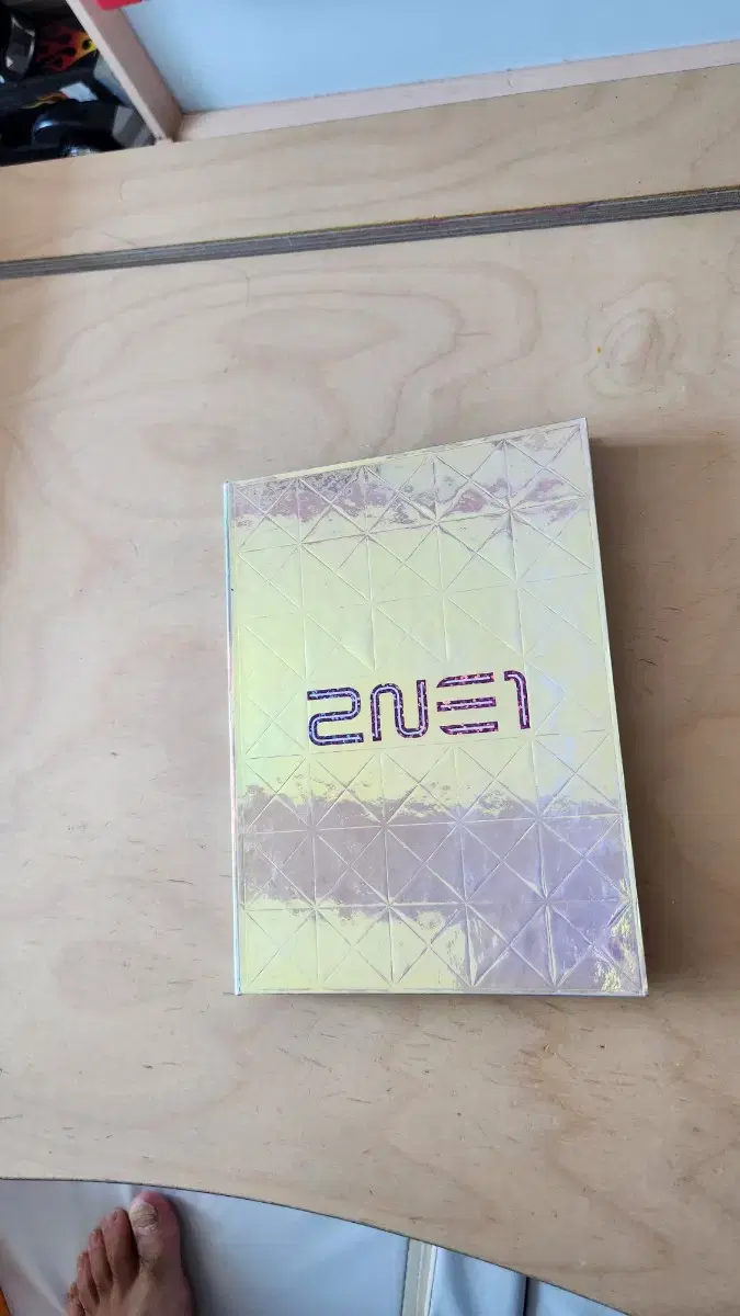 투애니원 1집 앨범