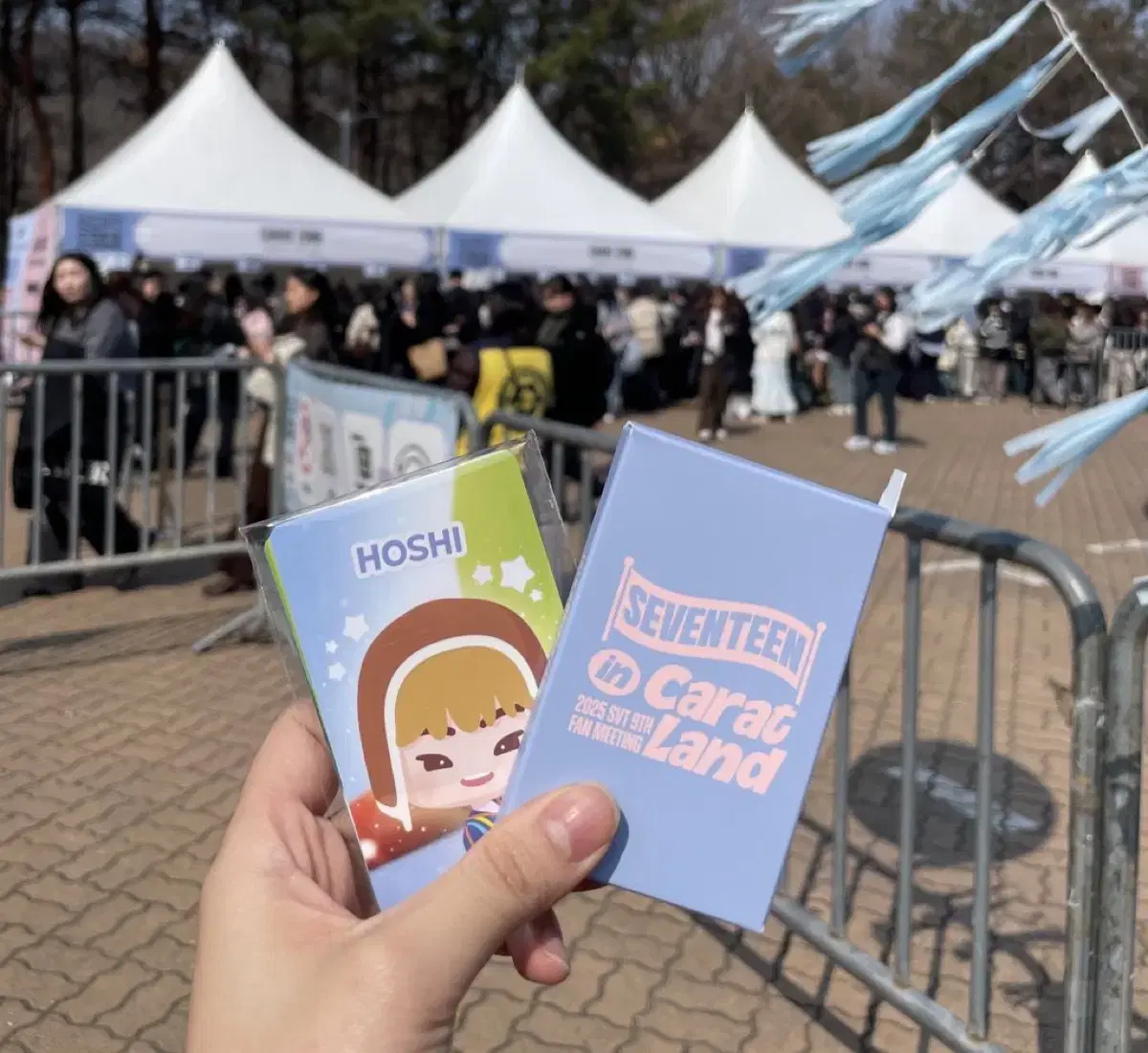 2025 세븐틴 캐럿랜드 캐럿존 포카일괄