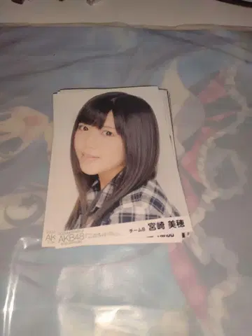 AKB48 브로마이드 사진 49장