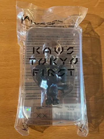 KAWS TOKYO FIRST 피포군 새상품