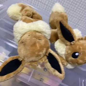 포켓몬 센터 봉제 인형 이브이
