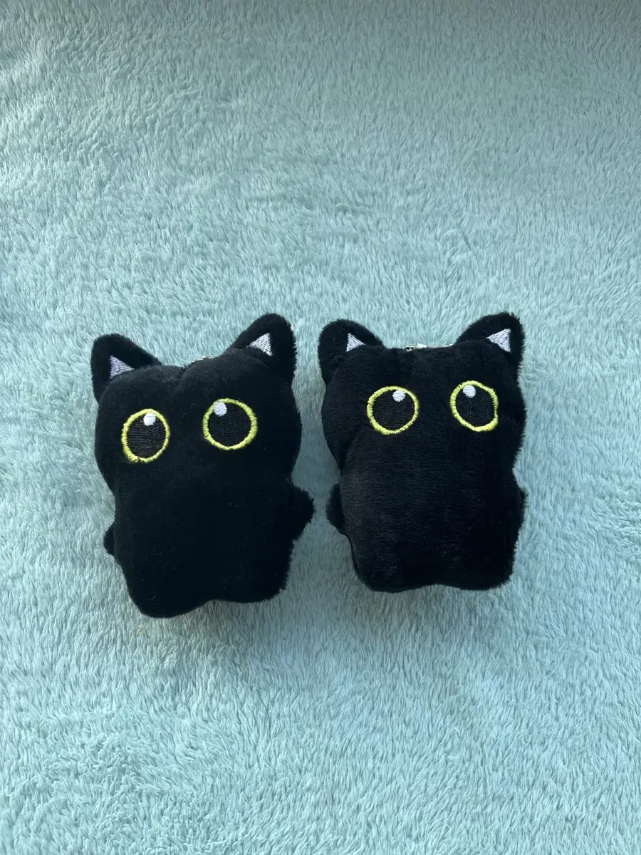 깜고 삔냥이 원가 이하 양도
