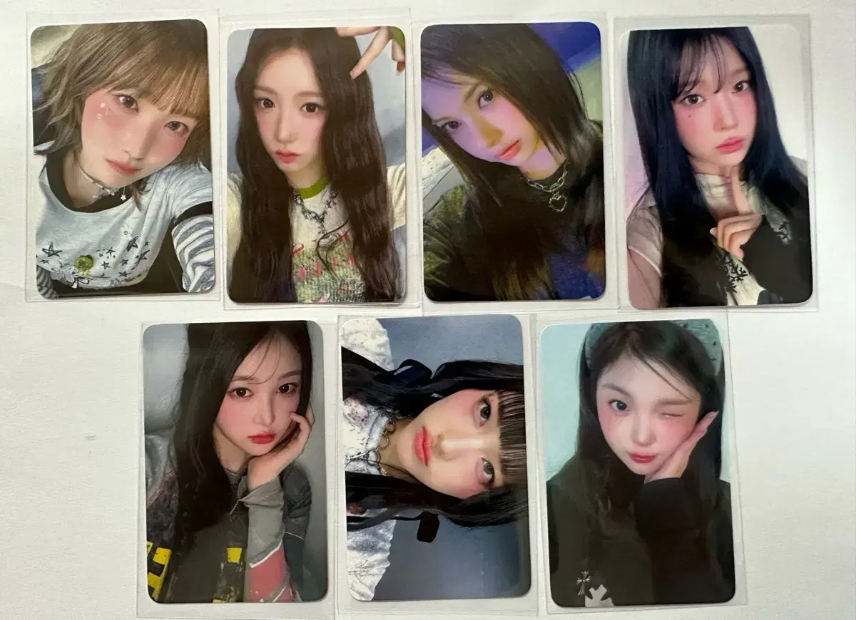 세이마이네임 쇼케이스 미공포 위드뮤