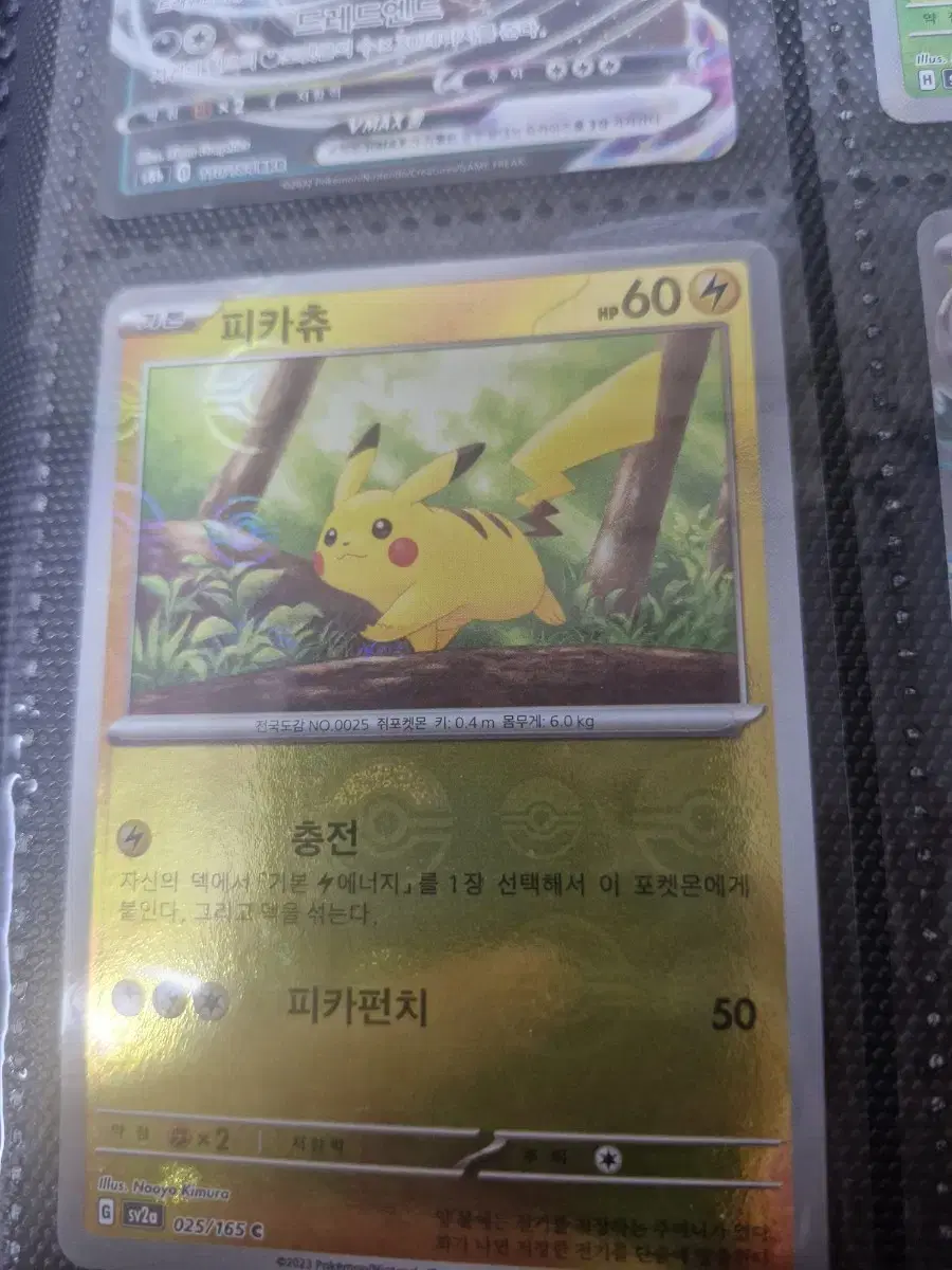 포켓몬카드 (피카츄)
