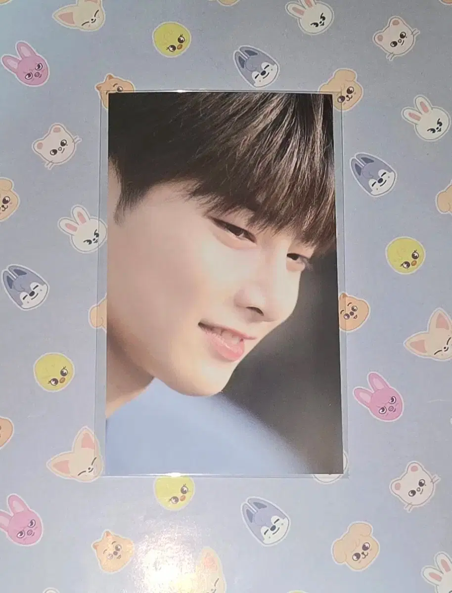 Straykids skz Noizee i.n Bookmark pre-order benefits