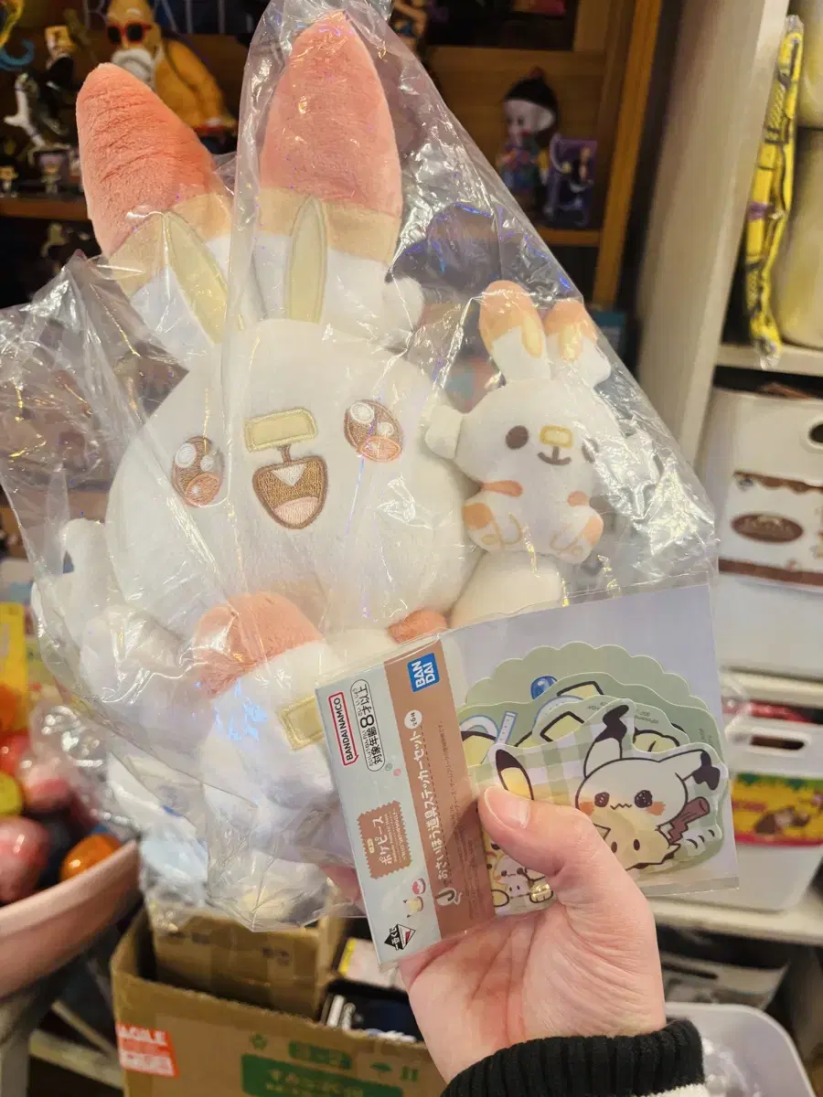 포켓피스 쿠지 염버니