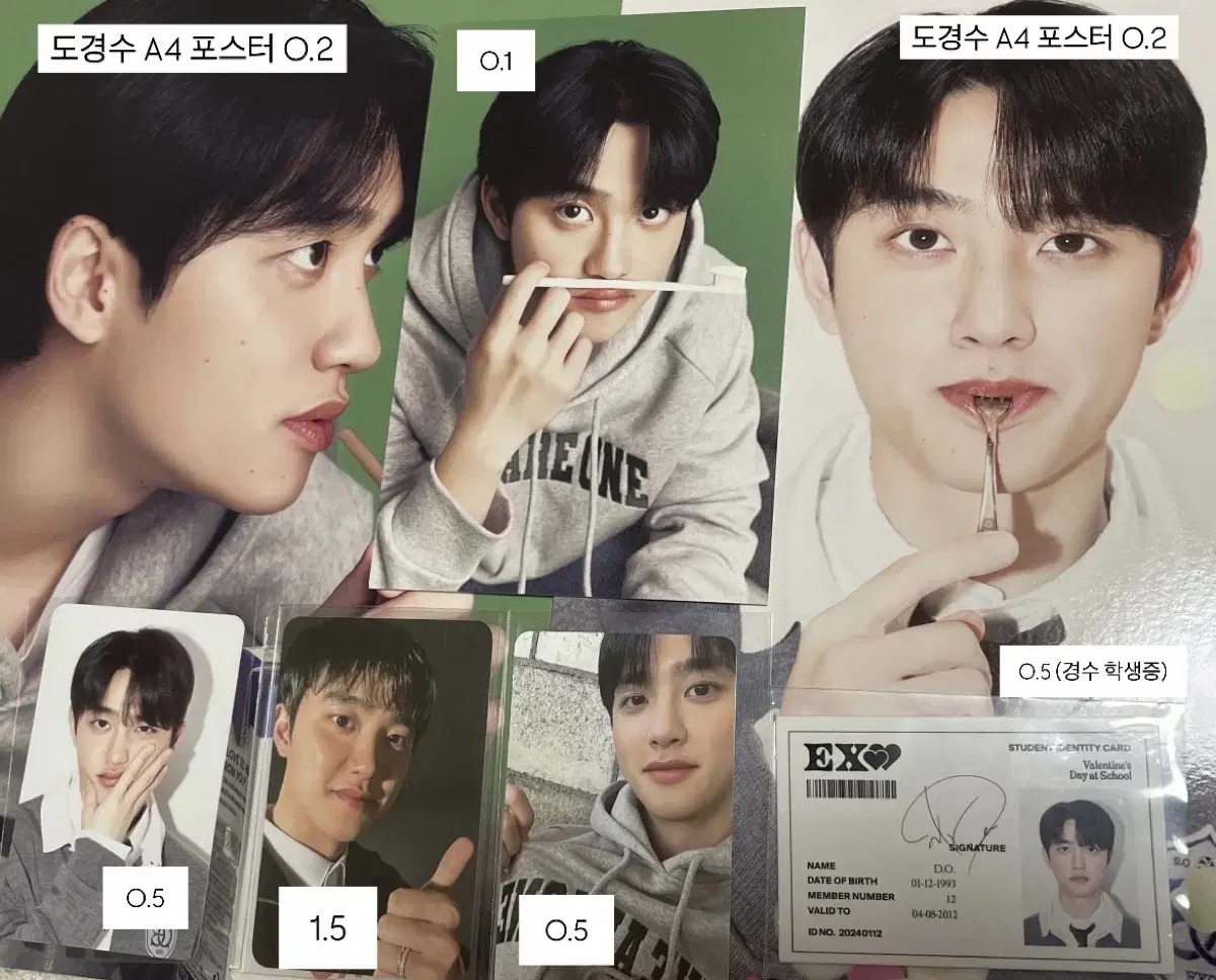 엑소 EXO 2024 시그 시즌그리팅 도경수 디오 학생증, 포카 등등