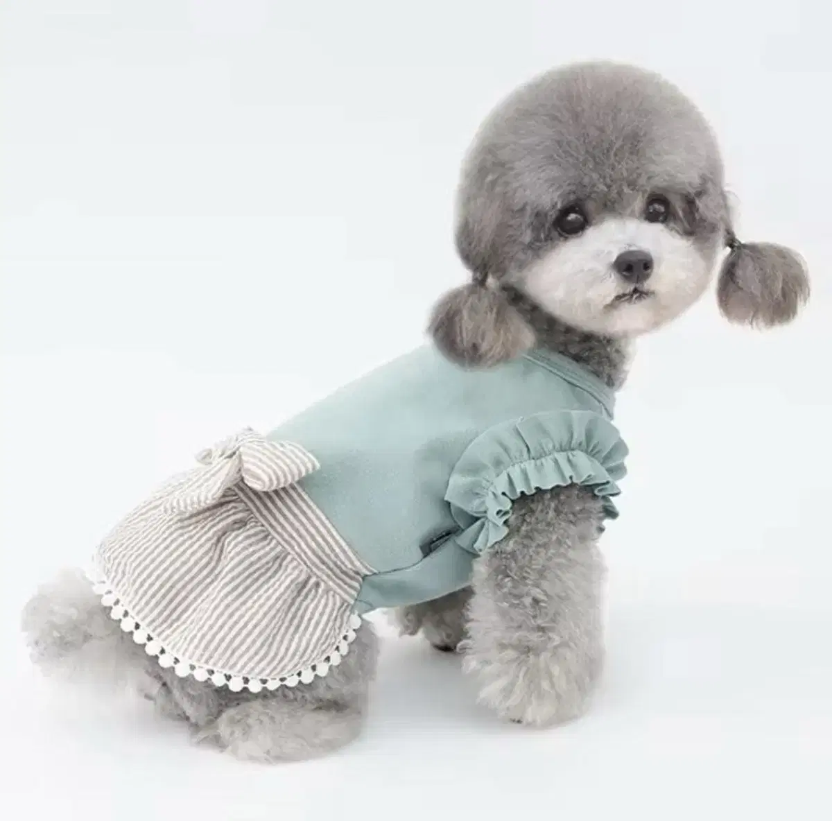 Dog clothes Ribbon ONEPIECE + T-shirt