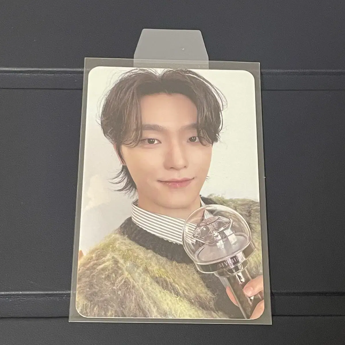 세븐틴 2025 캐럿랜드 디노 캐럿존 포카