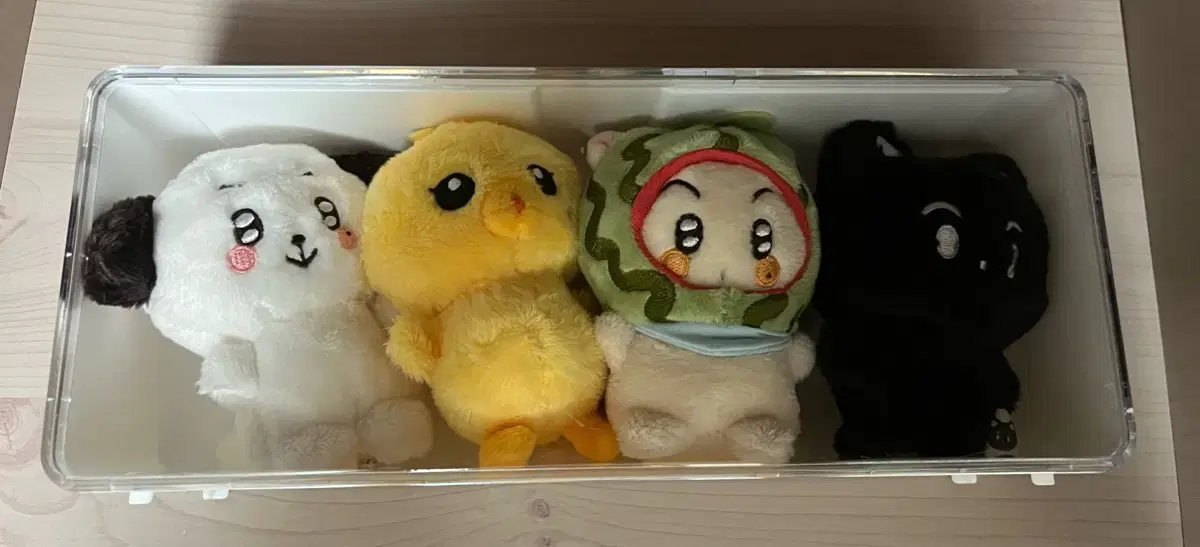 피규어 인형 보관함  진열대 엔시티 라이즈 앤팀 엔하이픈 보넥도