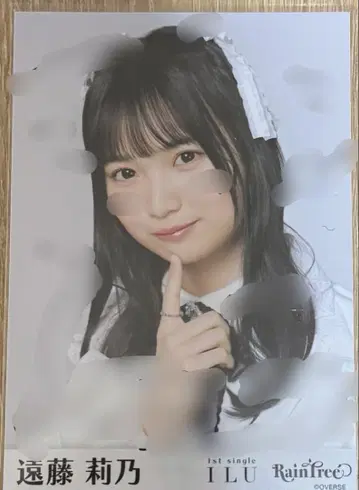 Rain Tree 엔도 리노 생 사진