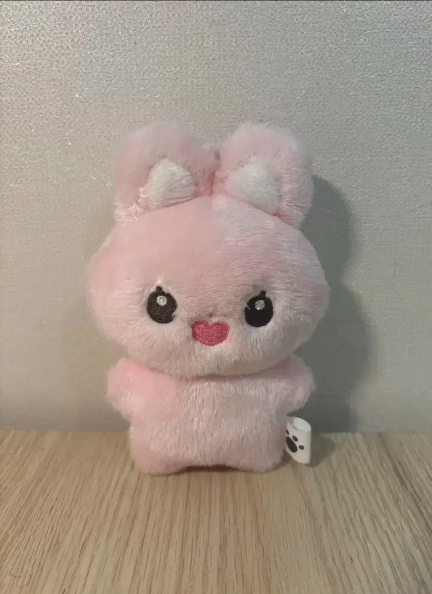 급처) 제베원 한유진 솜유진