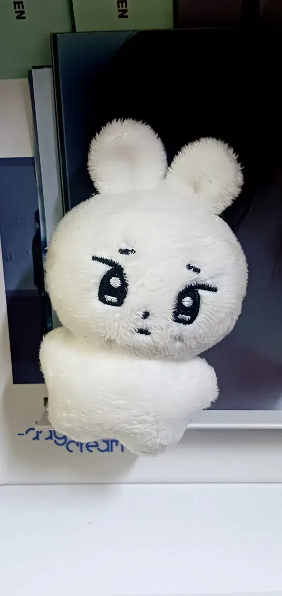 엔하이픈 선우 떠누몬 양도