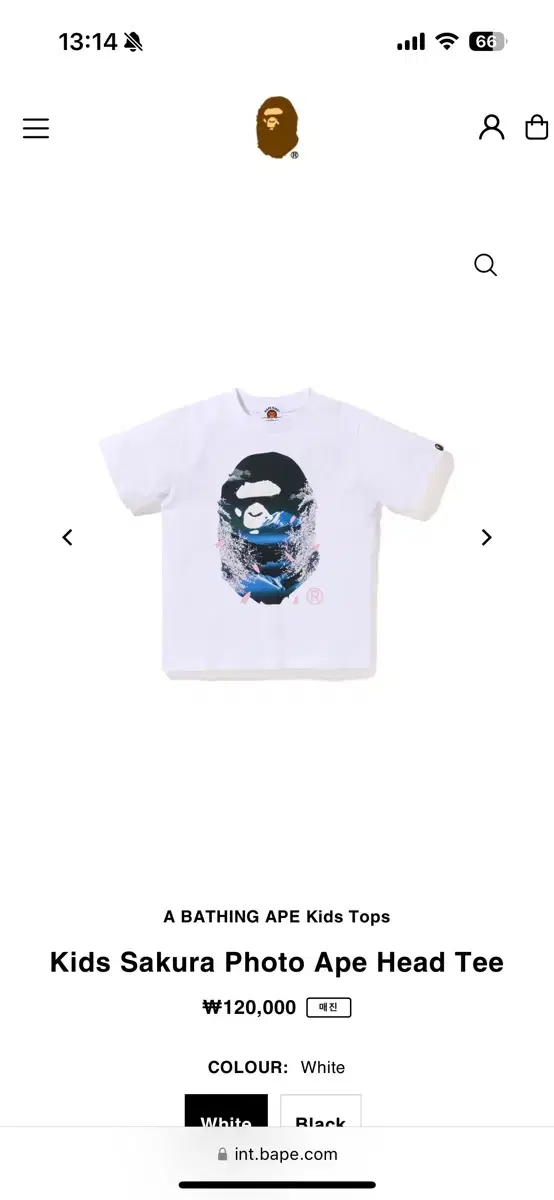 (Kids) Vape sakura Short-sleeved T-shirt 100