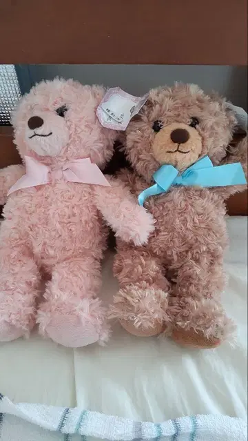 허니 테디베어 보이&걸 봉제 인형 세트