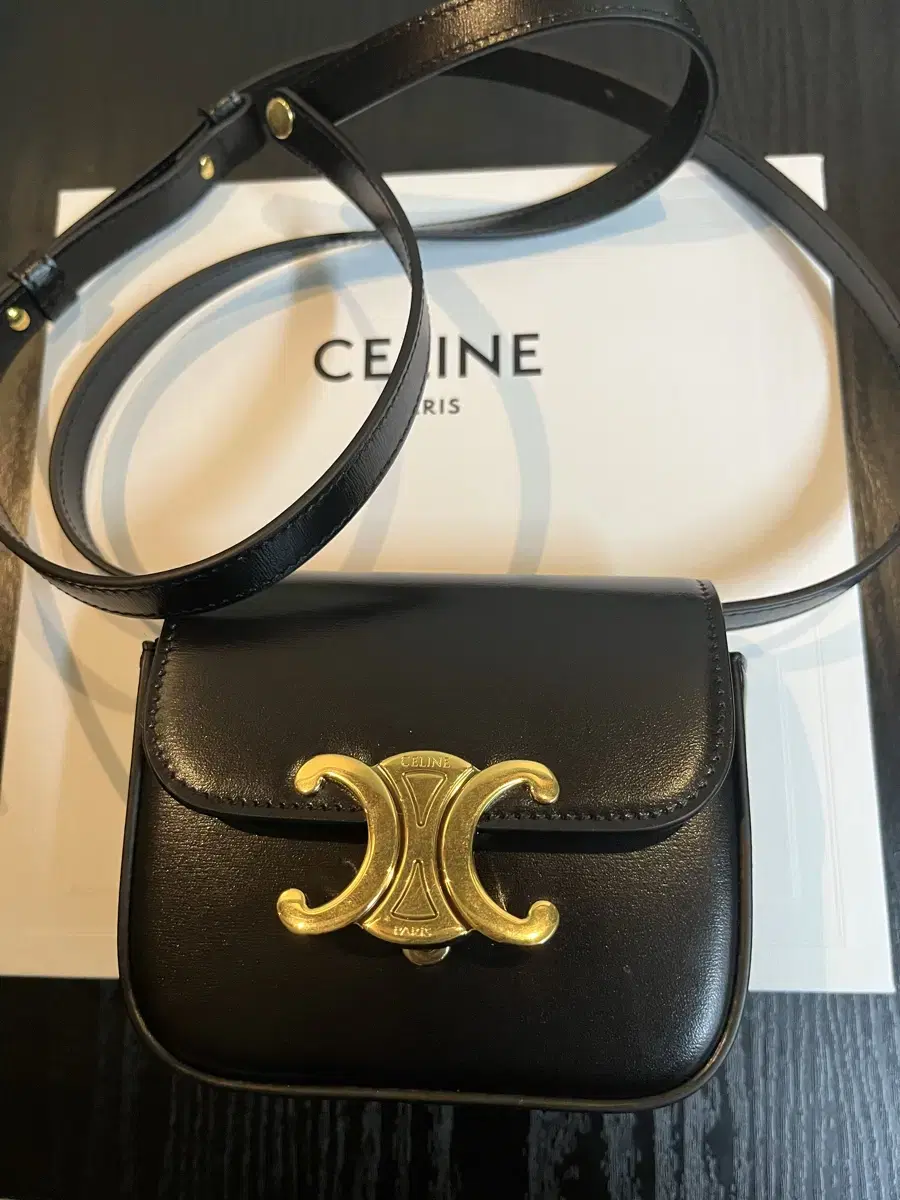 Sell new Seline mini bag