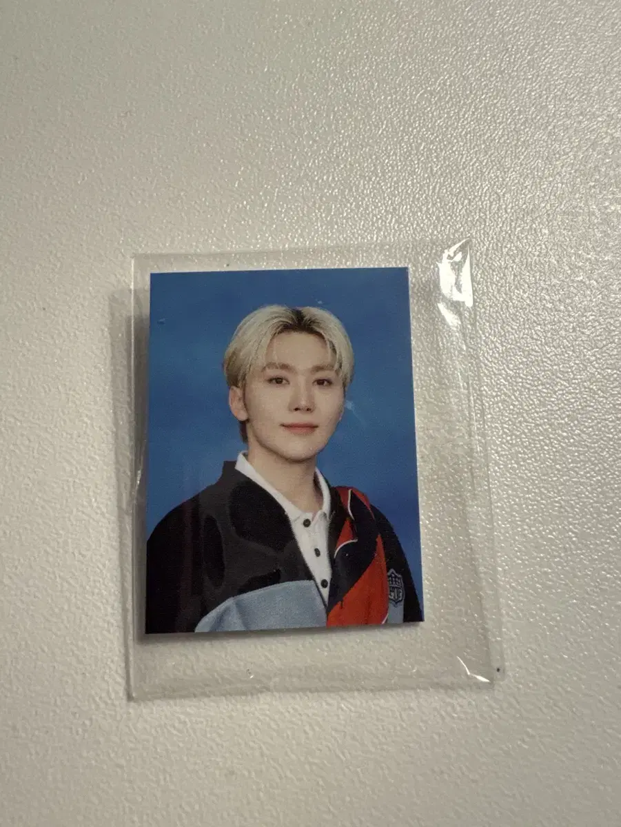 세븐틴 캐럿랜드 증사 증명사진