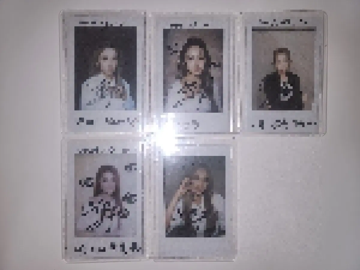 tri.be Jia signed pola, 5 sheets in bulk, distribution 18