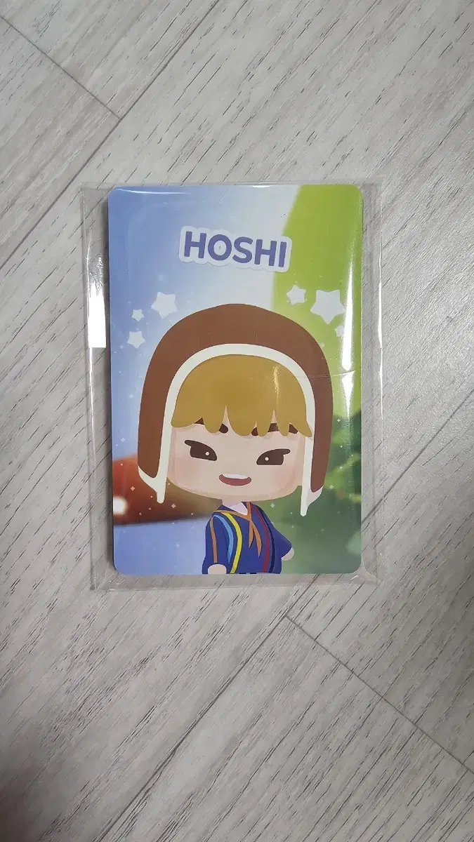 Seventeen 2025 Caran Puzzle WTS