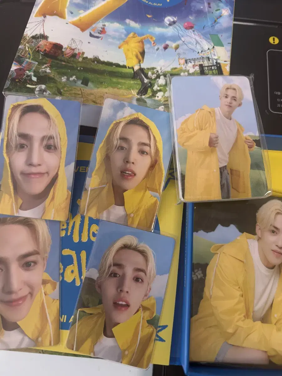 세븐틴스헤븐 캐럿반 에스쿱스