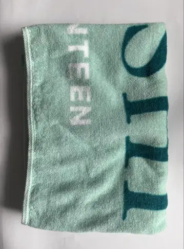세븐틴 호시 투어 타월 ode to you 오데콘