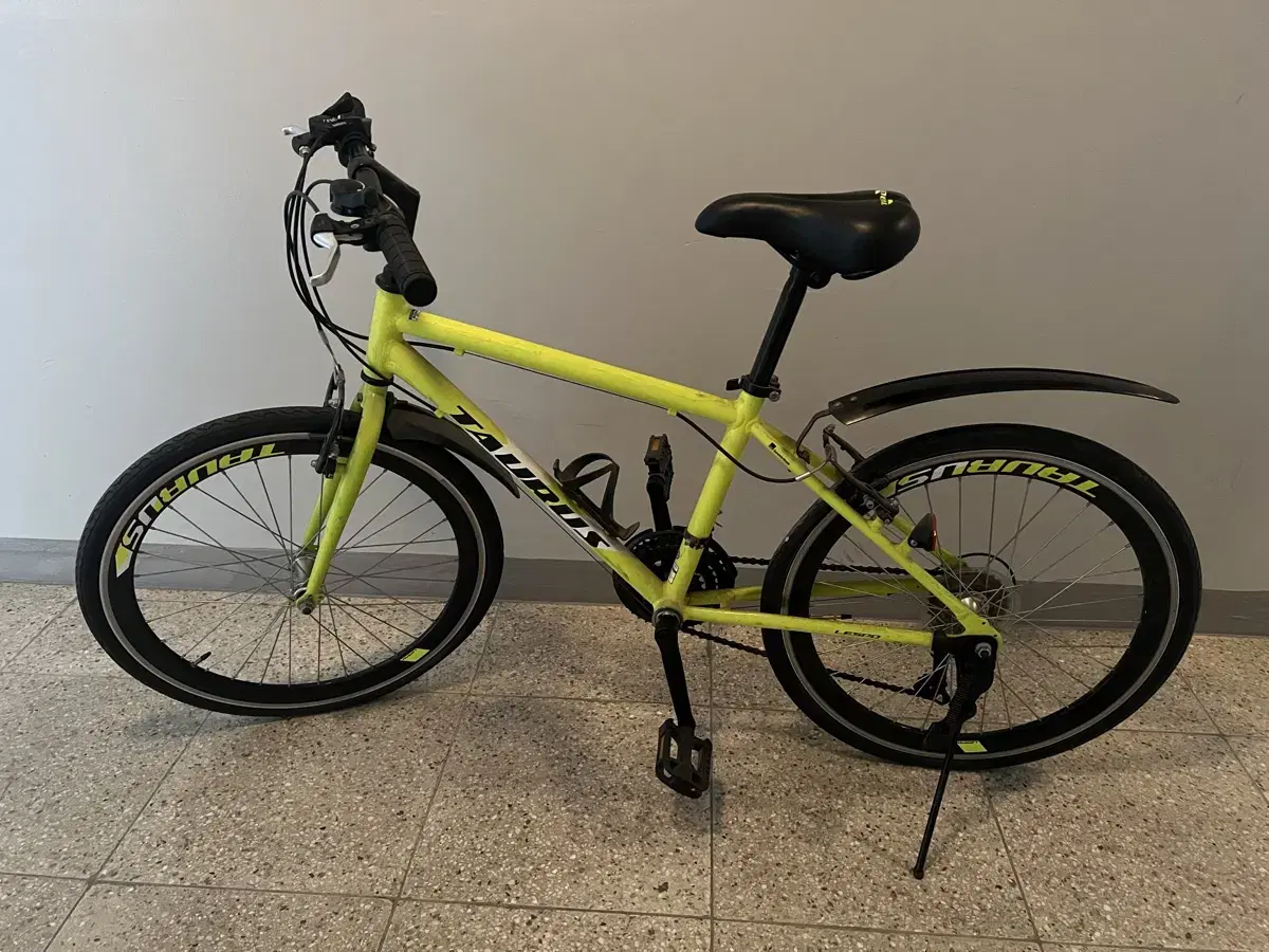 Samcholli Bicycle Torus 24 Joonie