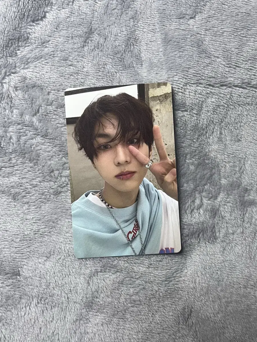 엔하이픈 정원 포카