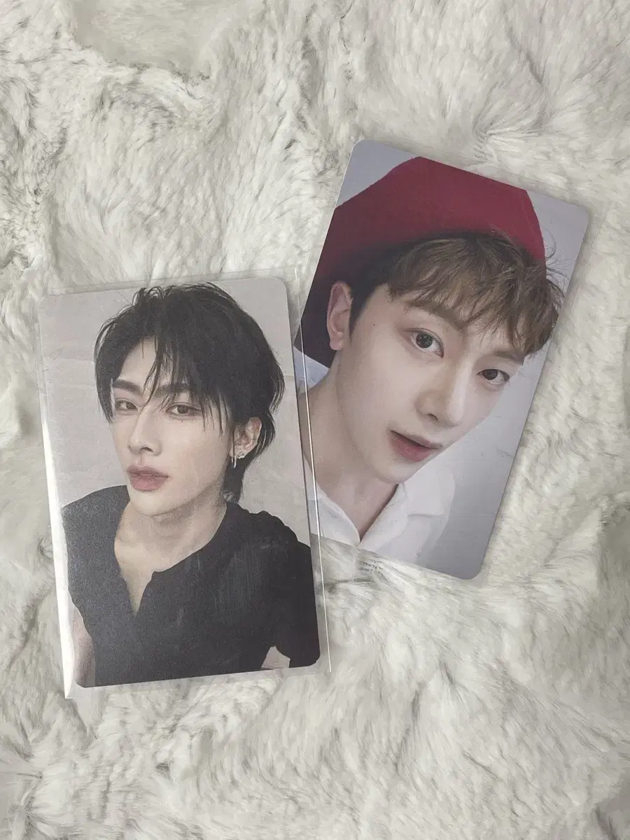 제로베이스원 제베원 틈새라면 석매튜 리키 포카 양도