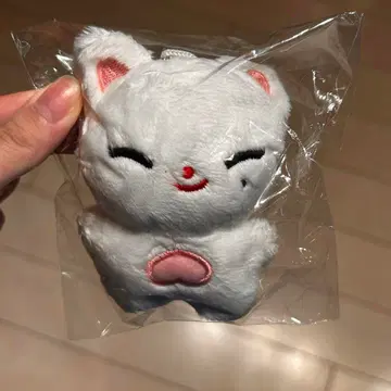 ENHYPEN 에나이프 정원 봉제 인형 마스터 키링