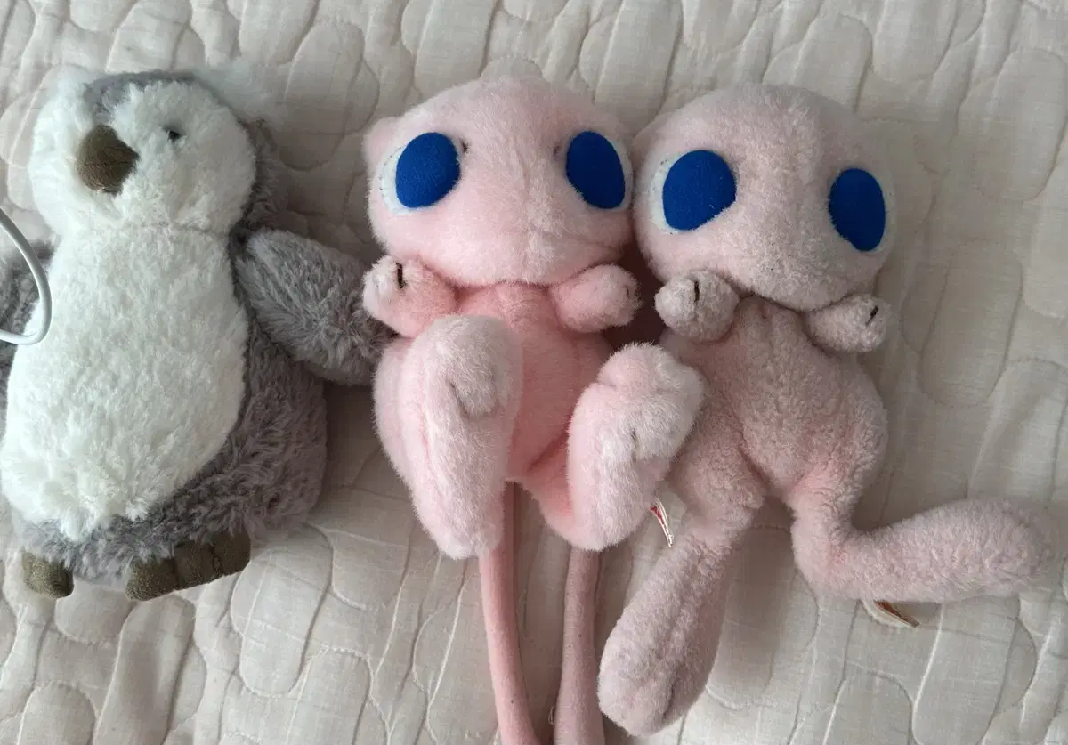 포켓몬스터 뮤 인형