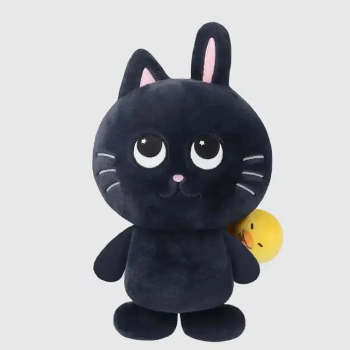 라이즈 원빈 인형 40cm 거대 토냥덕
