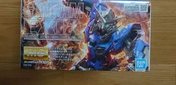 건담 EXIA MG 1/100