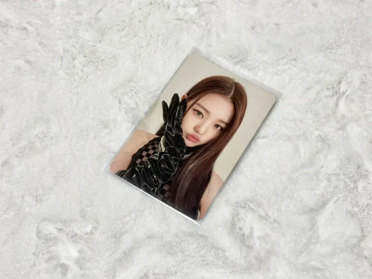 아이브 원영 일레븐 앨범 포카