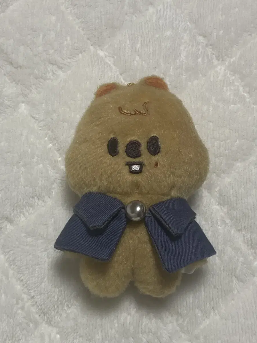 스키주 한 쿼카 한지성 개똥이