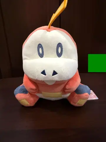 뜨아거(호게타) / 포켓몬 봉제 인형