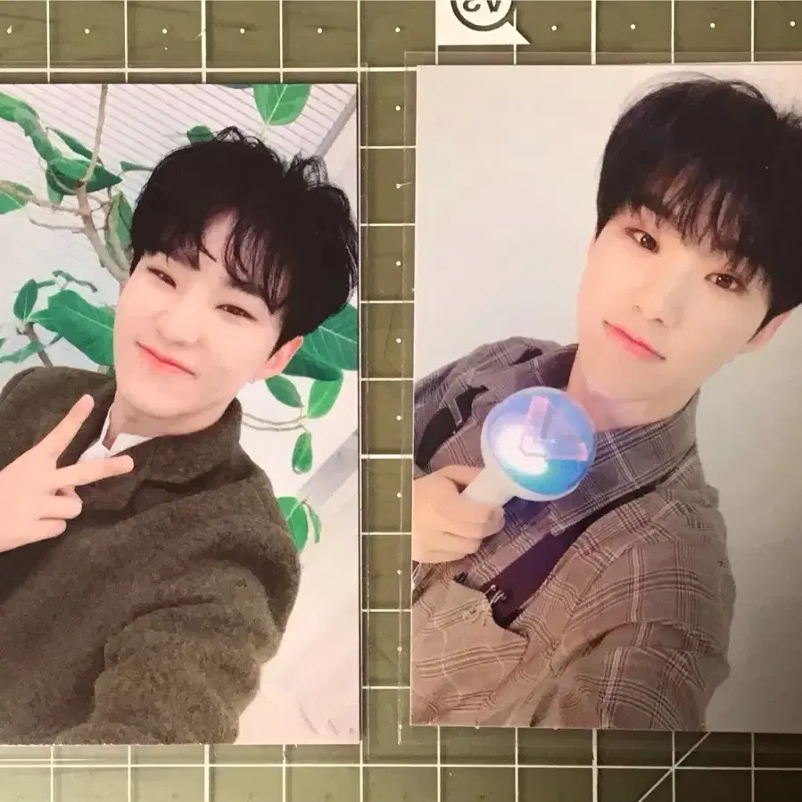 공굿덤)세븐틴호시 캐랜 캐럿랜드 3기 캐럿존 ymmd 공방포카 캐랜컨페티