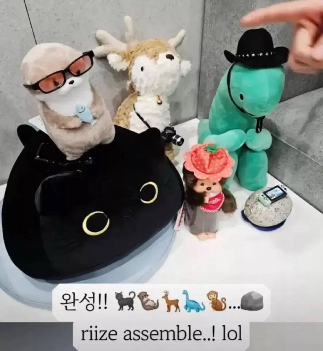 라이즈 원빈 성찬 쇼타로 앤톤 인형