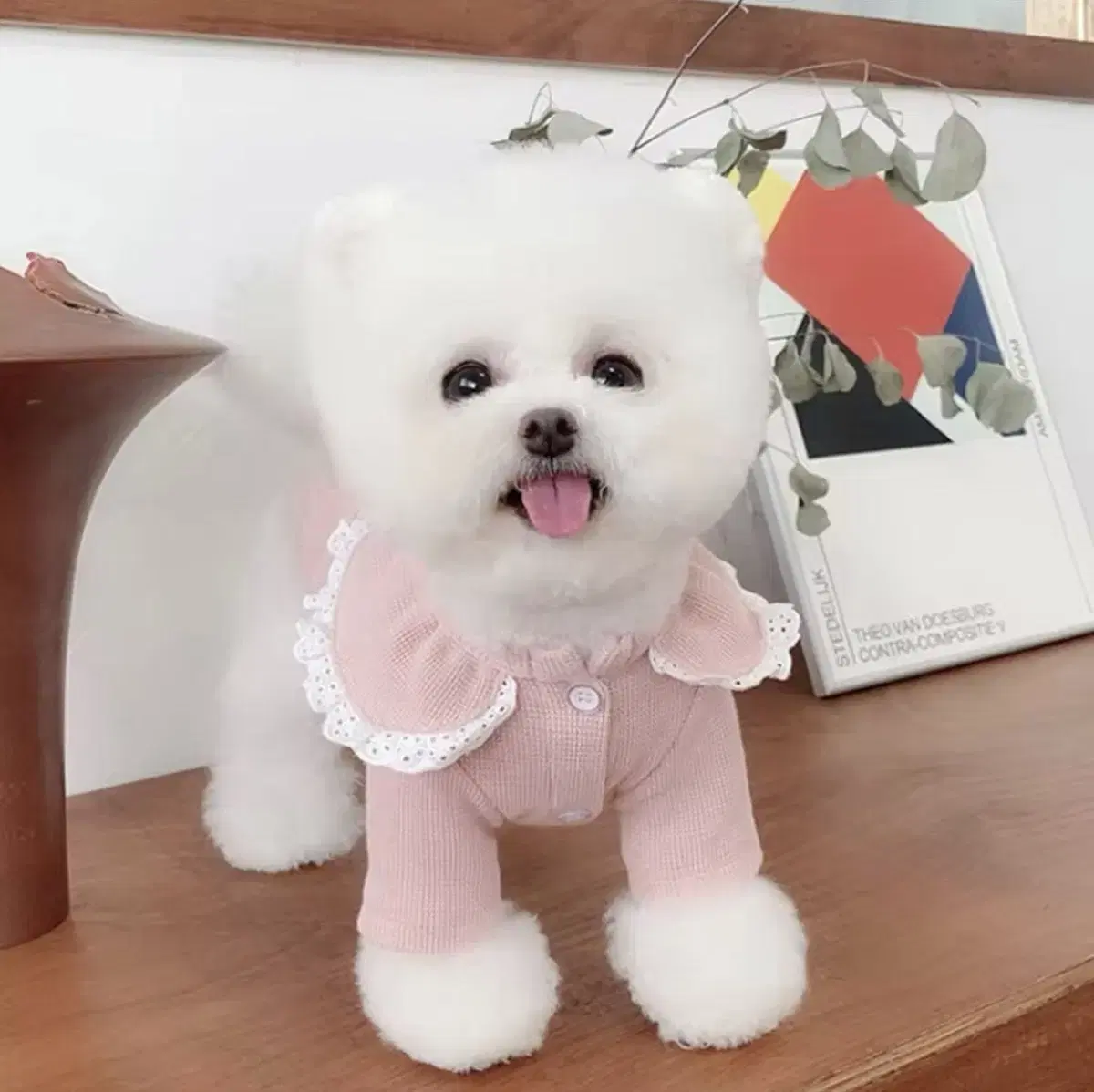 Dog Clothes Frill T-Shirt