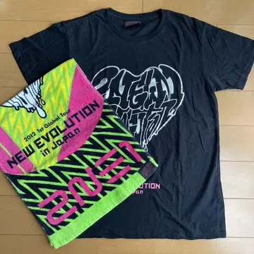 2NE1 NEW EVOLUTION 굿즈 티셔츠 & 페이스타월 세트