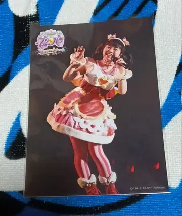 아사미 마사다 혜택 브로마이드 갸루루 프리파라