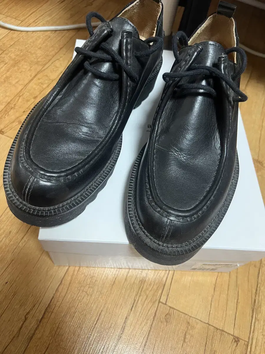 [43]아미 샤크솔 더비