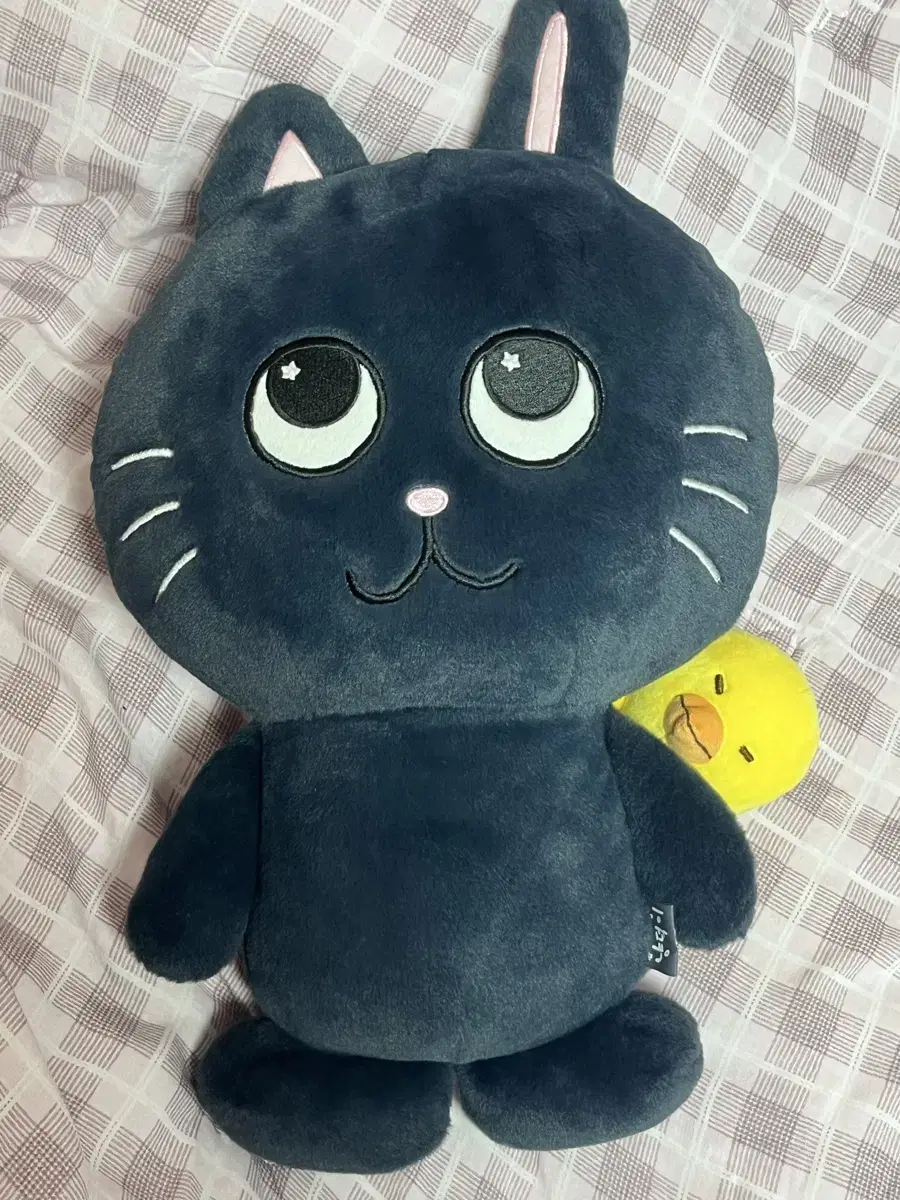 라이즈 원빈 대왕 토냥덕 40cm 인형 엠디 굿즈
