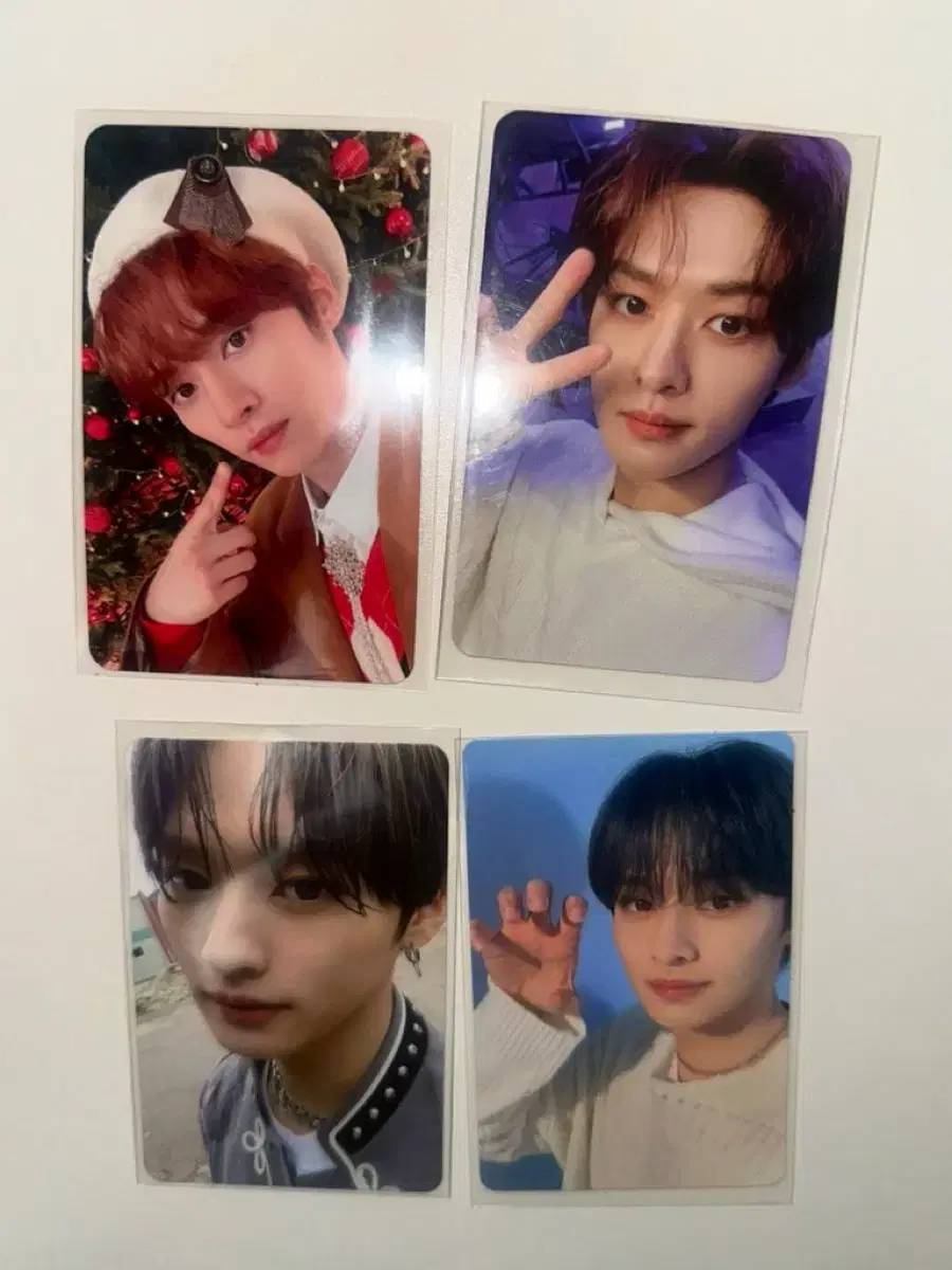 리노 갈망 포카 일괄 2.5