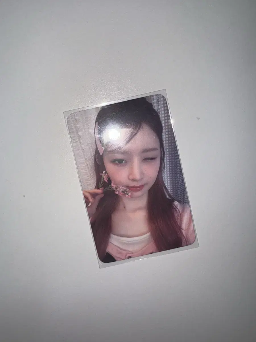 아이브 레이 2024 시즌그리팅 시그 특전 미공포