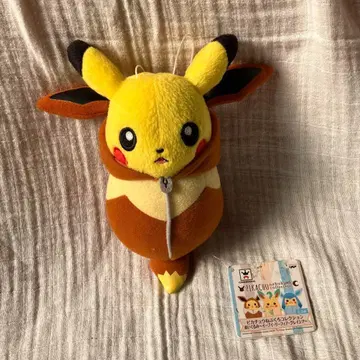 피카츄 침낭 컬렉션 이브이