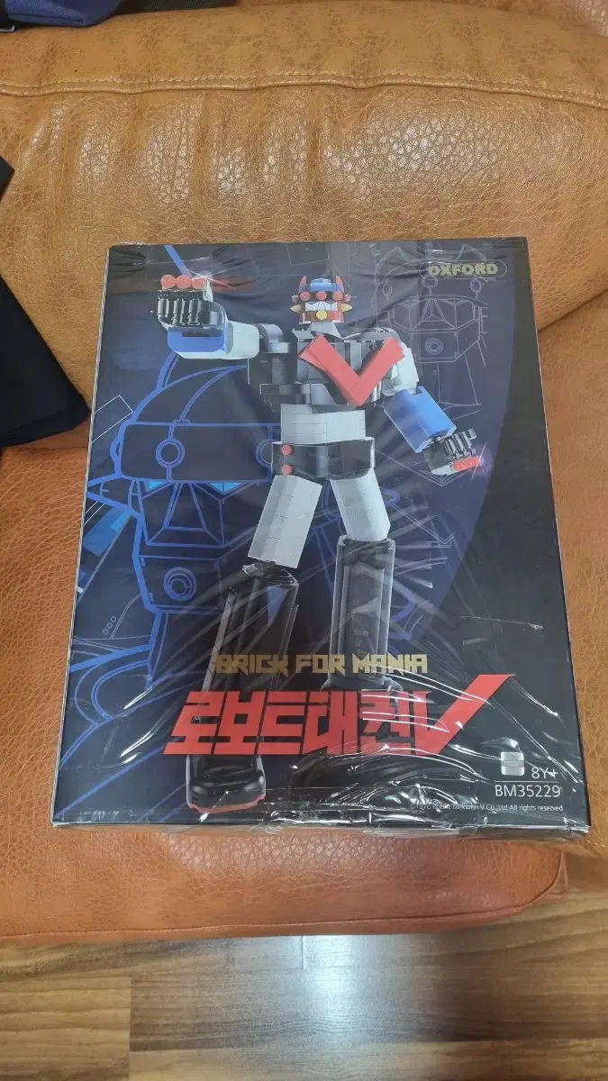 Oxford Robot Taekwon V